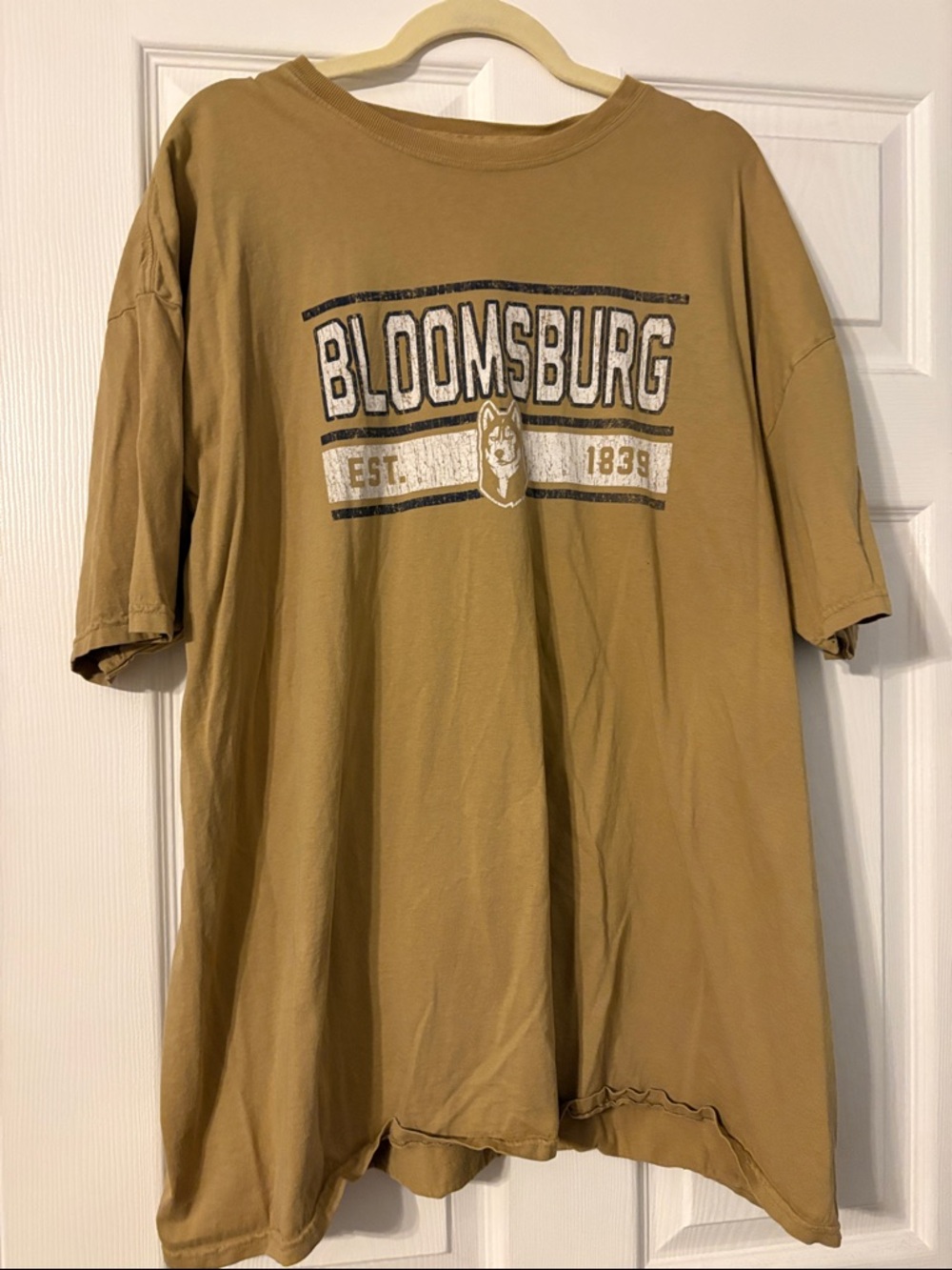Blue 84 Bloomsburg Graphic Tee in Mustard tan - XXL